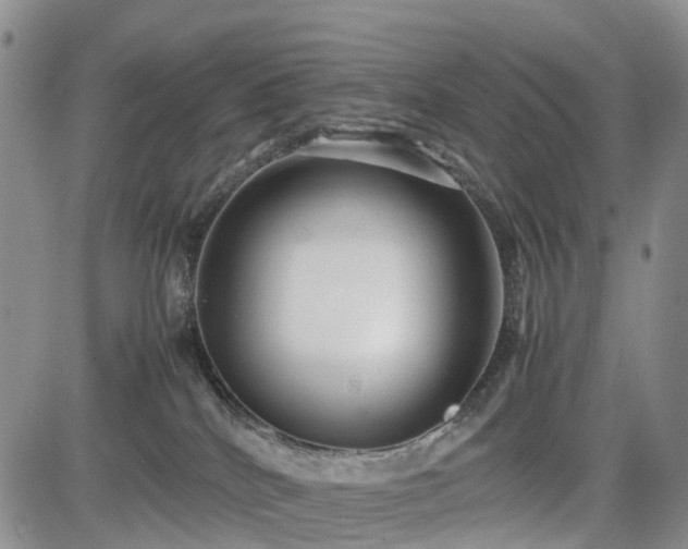 X0000085210040200703161230