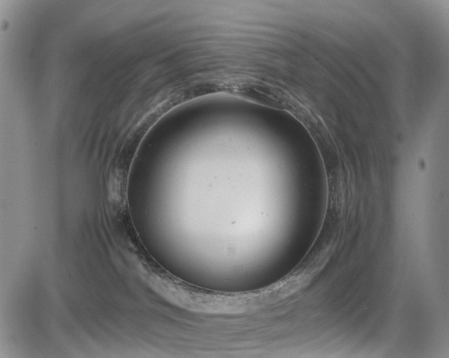 X0000085210044200703161230