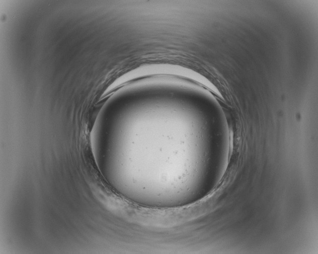 X0000085210045200703161230