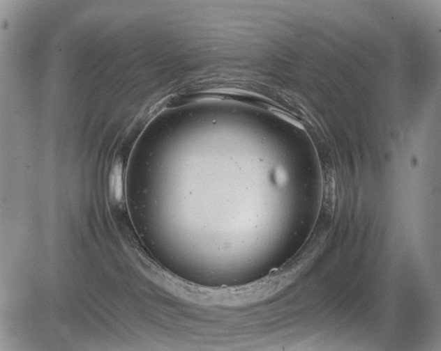 X0000085210046200703161230