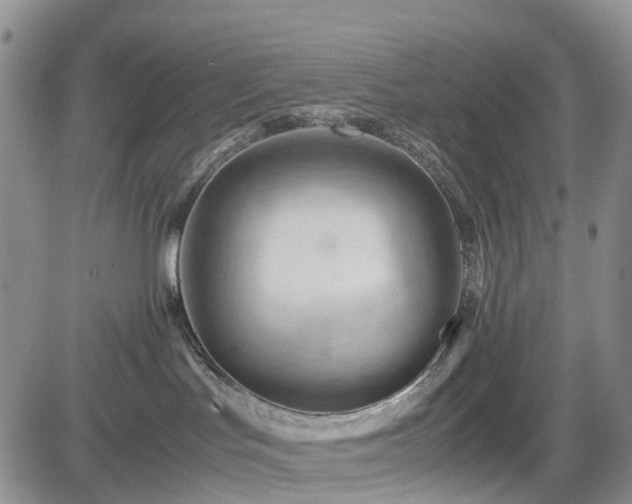 X0000085210047200703161230