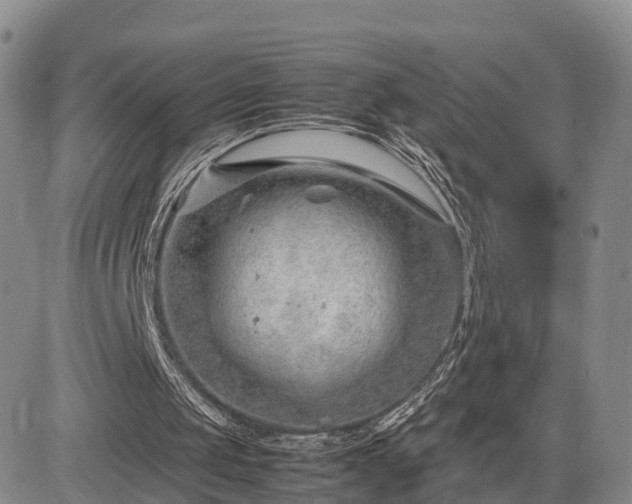 X0000085210049200703161229