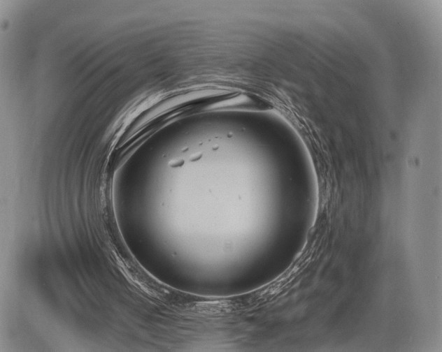 X0000085210050200703161229