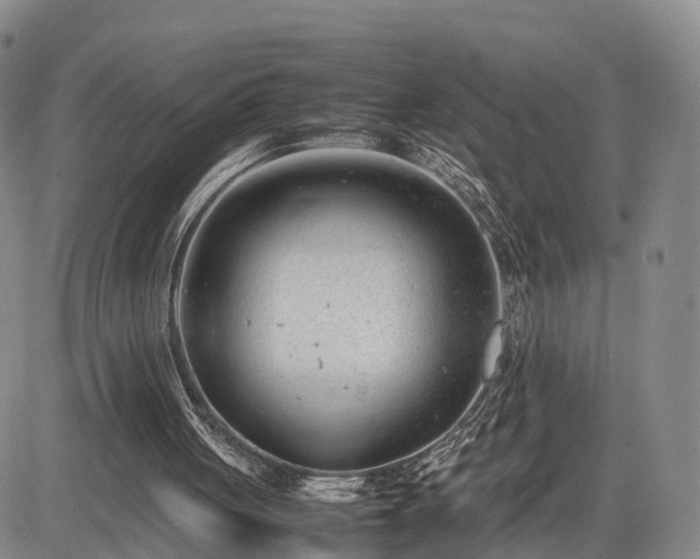 X0000085210051200703161229