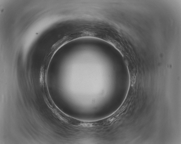 X0000085210052200703161229