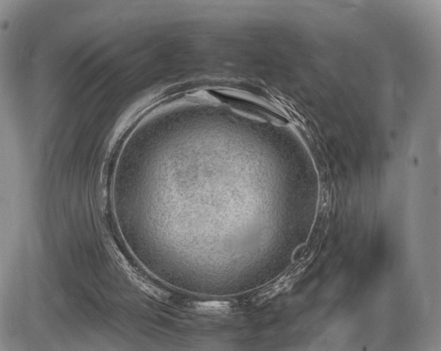 X0000085210053200703161229