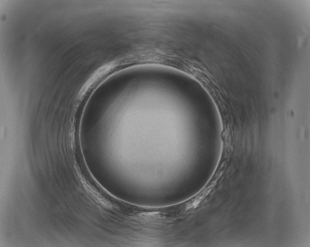 X0000085210054200703161229