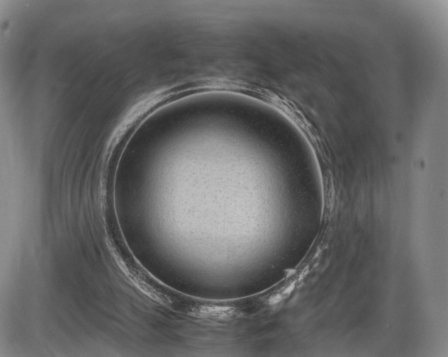 X0000085210055200703161229