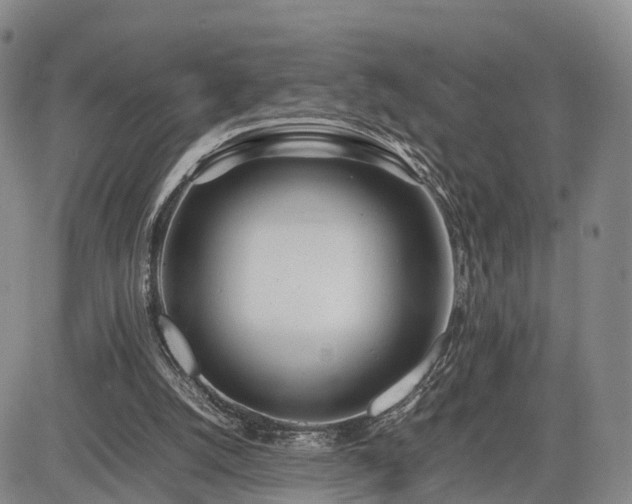 X0000085210056200703161229