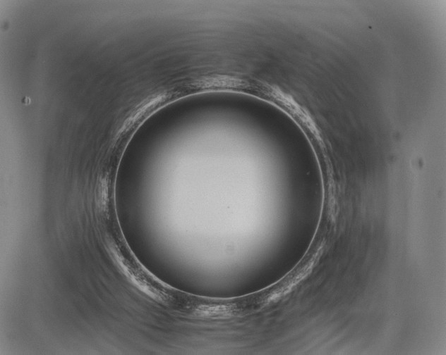 X0000085210057200703161229