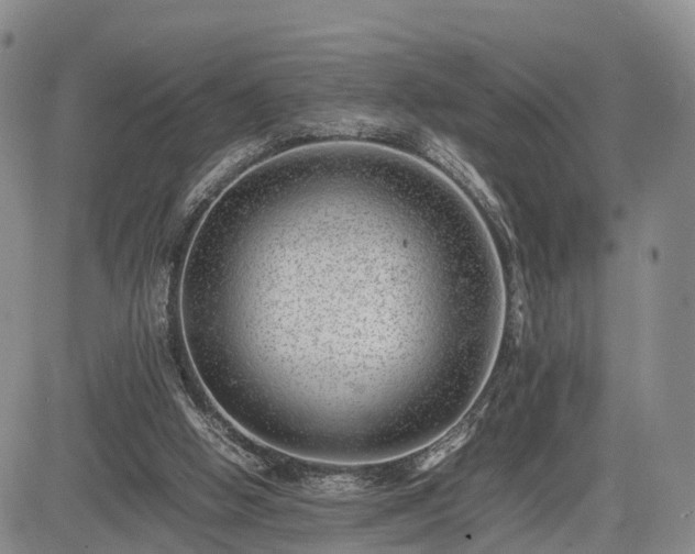 X0000085210058200703161229