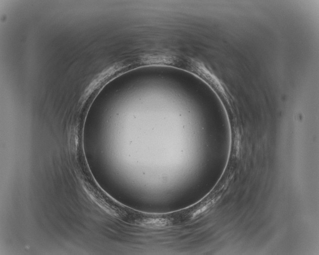 X0000085210059200703161230