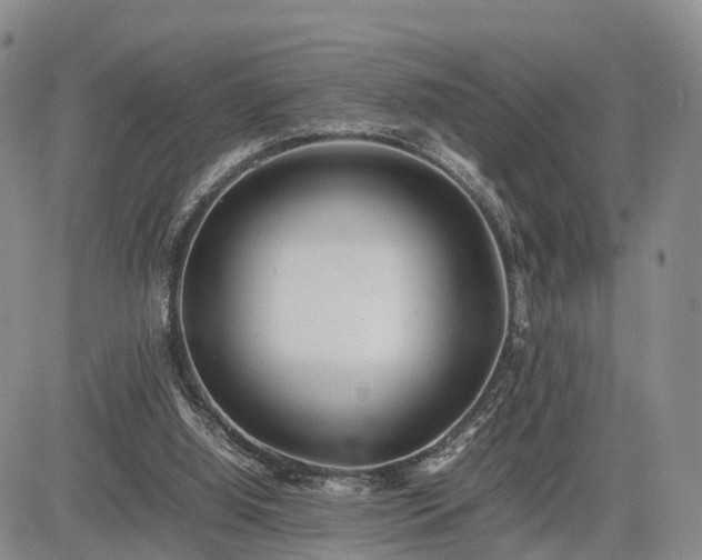 X0000085210060200703161230