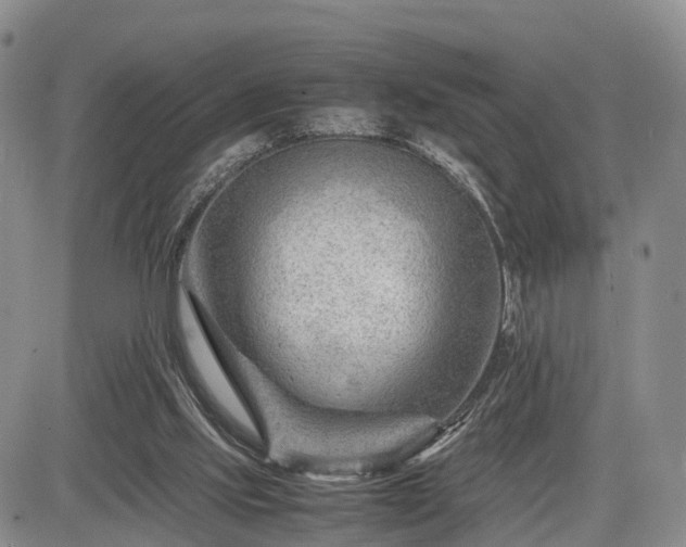 X0000085210061200703161230