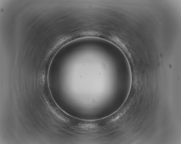 X0000085210063200703161230