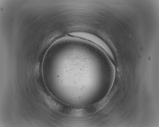 X0000085210066200703161230