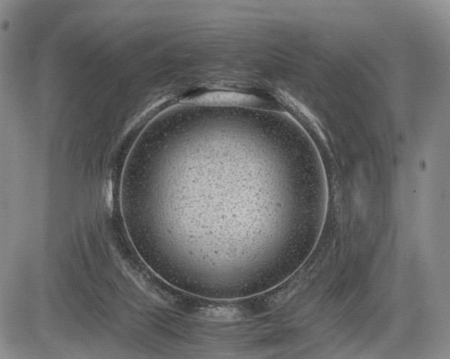 X0000085210067200703161230