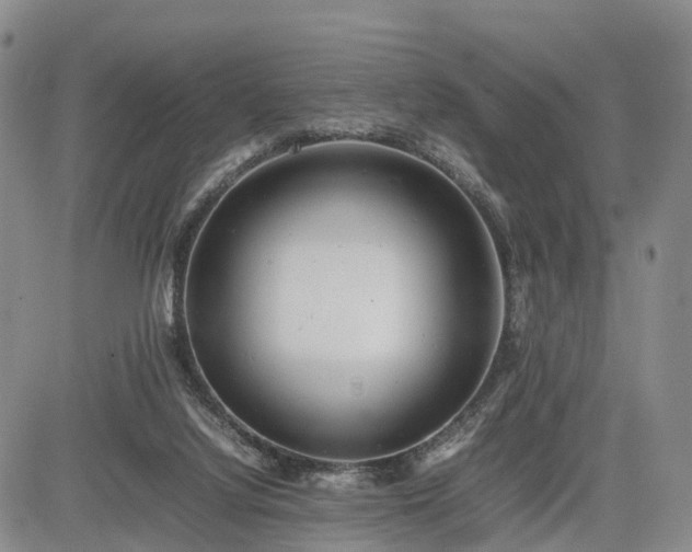 X0000085210068200703161230