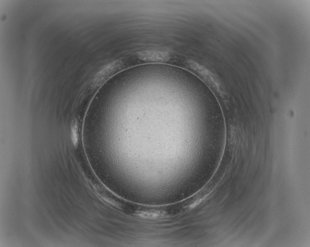 X0000085210069200703161230