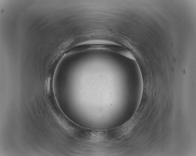 X0000085210070200703161230