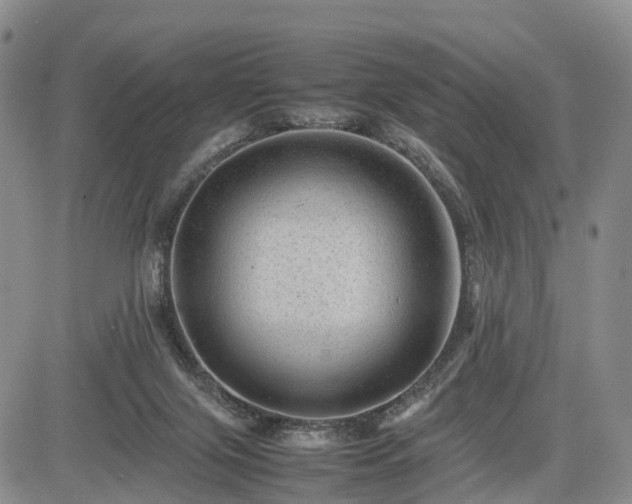 X0000085210071200703161230