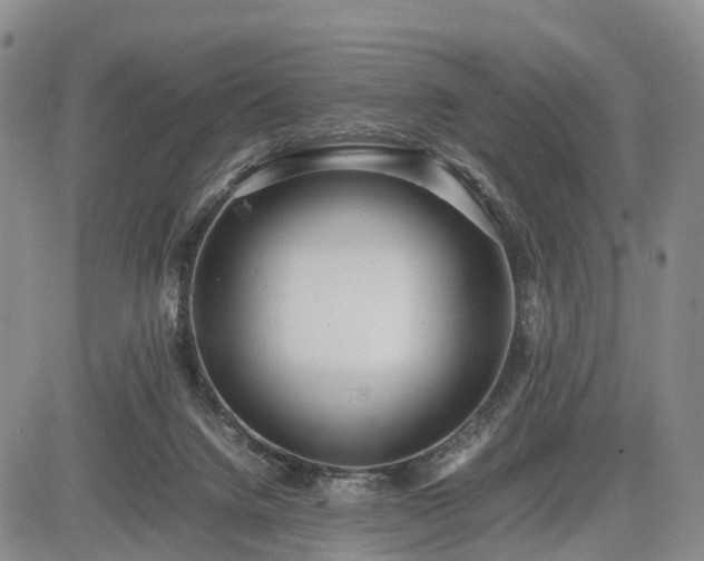 X0000085210072200703161230