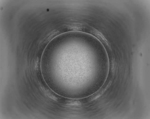 X0000085210073200703161230