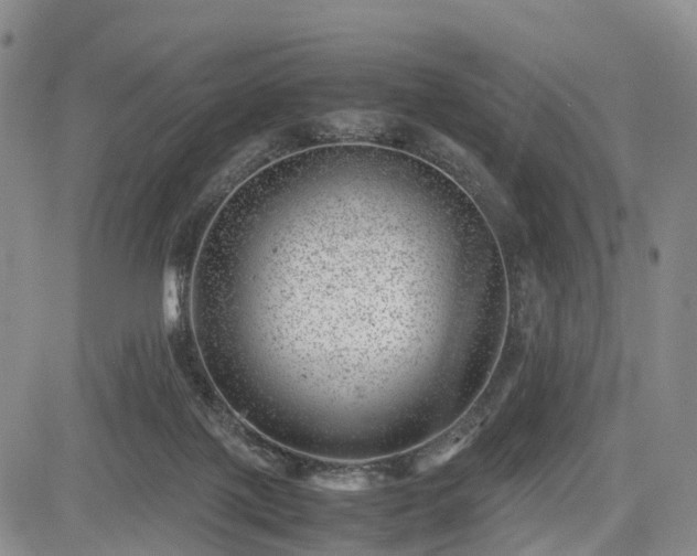 X0000085210075200703161230