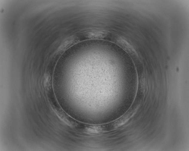 X0000085210079200703161230