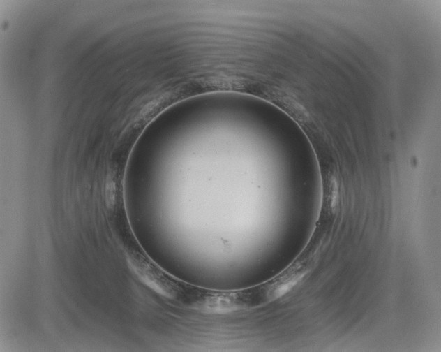 X0000085210080200703161230