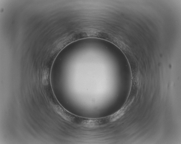 X0000085210082200703161230