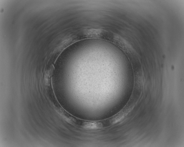 X0000085210083200703161230