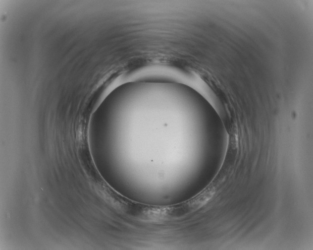 X0000085210084200703161230