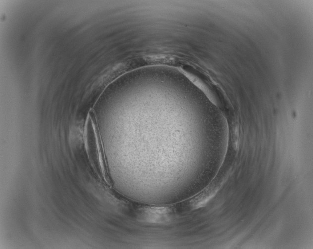 X0000085210085200703161230