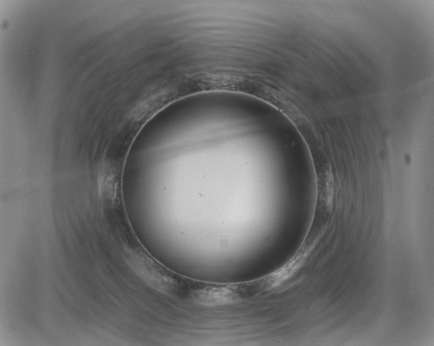 X0000085210086200703161230