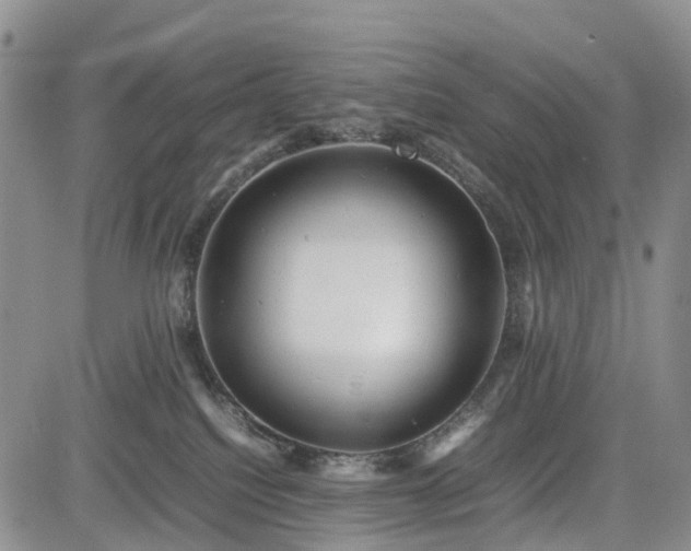 X0000085210088200703161230