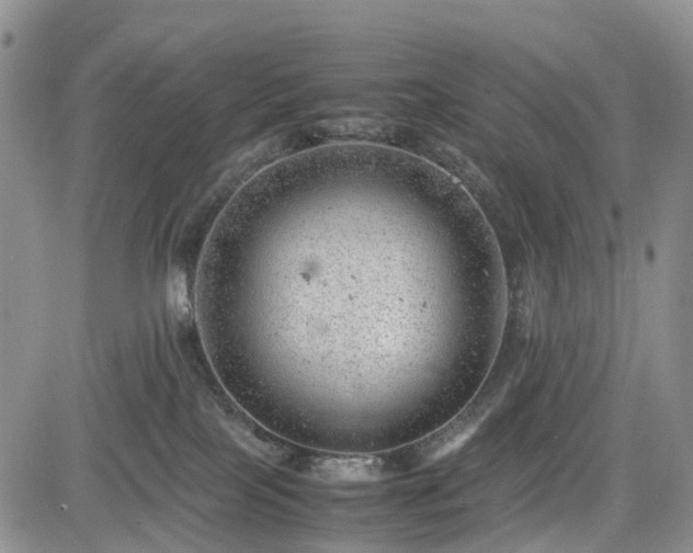 X0000085210089200703161230