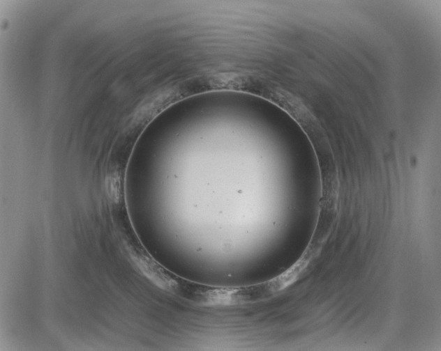 X0000085210090200703161230