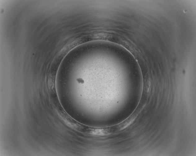 X0000085210091200703161230