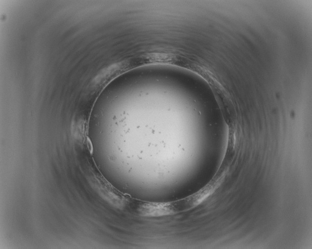 X0000085210093200703161230