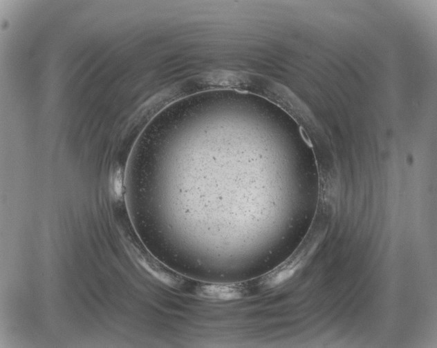 X0000085210095200703161230