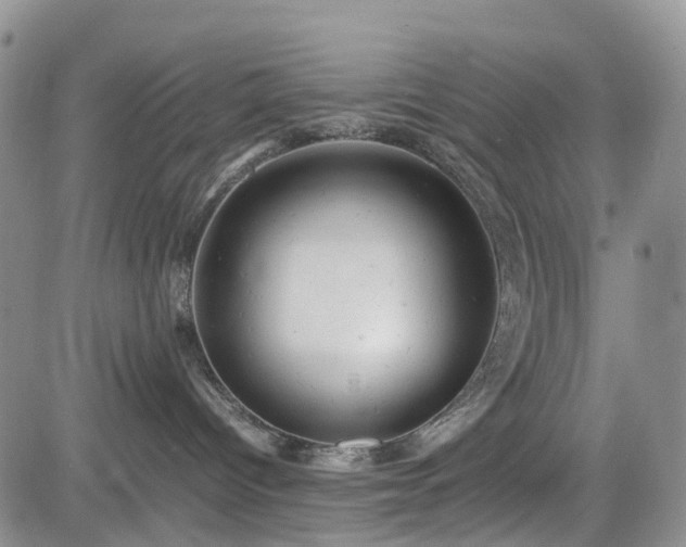 X0000085210096200703161230