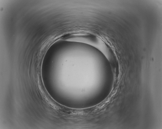 X0000085210097200703161229