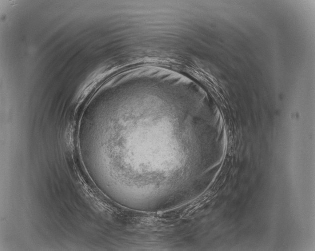 X0000085210098200703161229