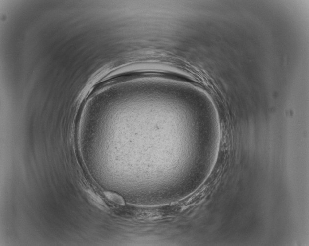 X0000085210099200703161229