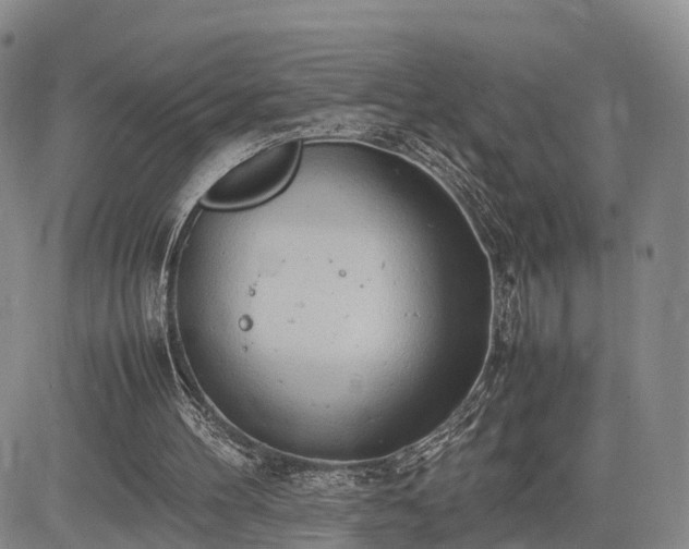 X0000085210100200703161229