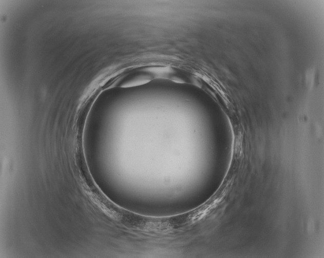 X0000085210101200703161229