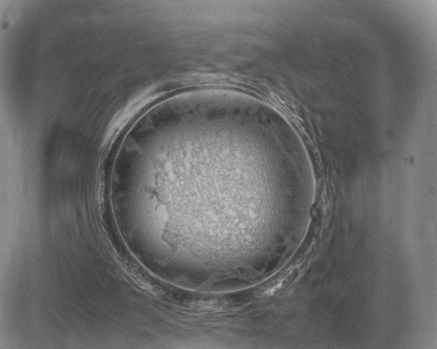 X0000085210103200703161229