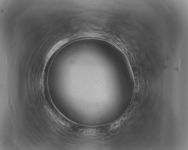 X0000085210104200703161229