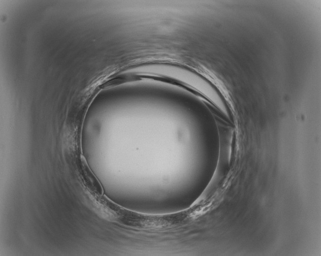 X0000085210105200703161229